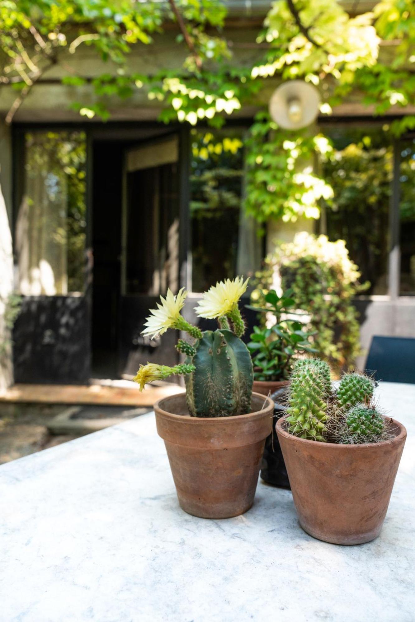 La Maison Sur La Colline 카르카손 외부 사진